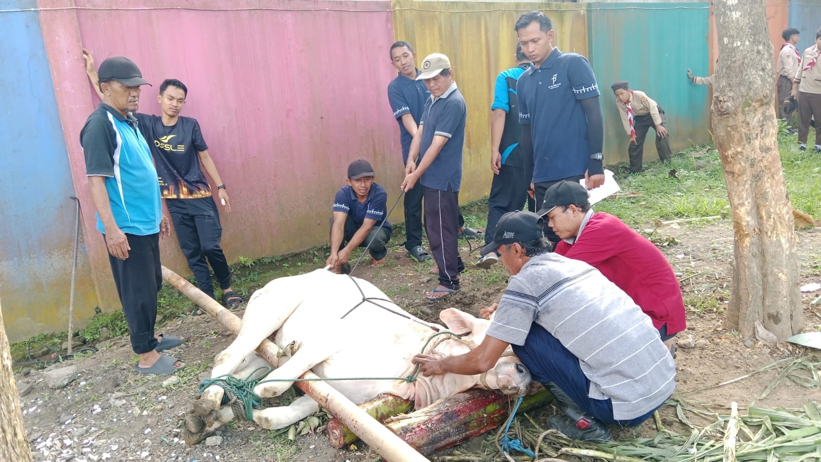 21_Menebar_Kebaikan_melalui_Kegiatan_Berbagi_Kurban.jpeg