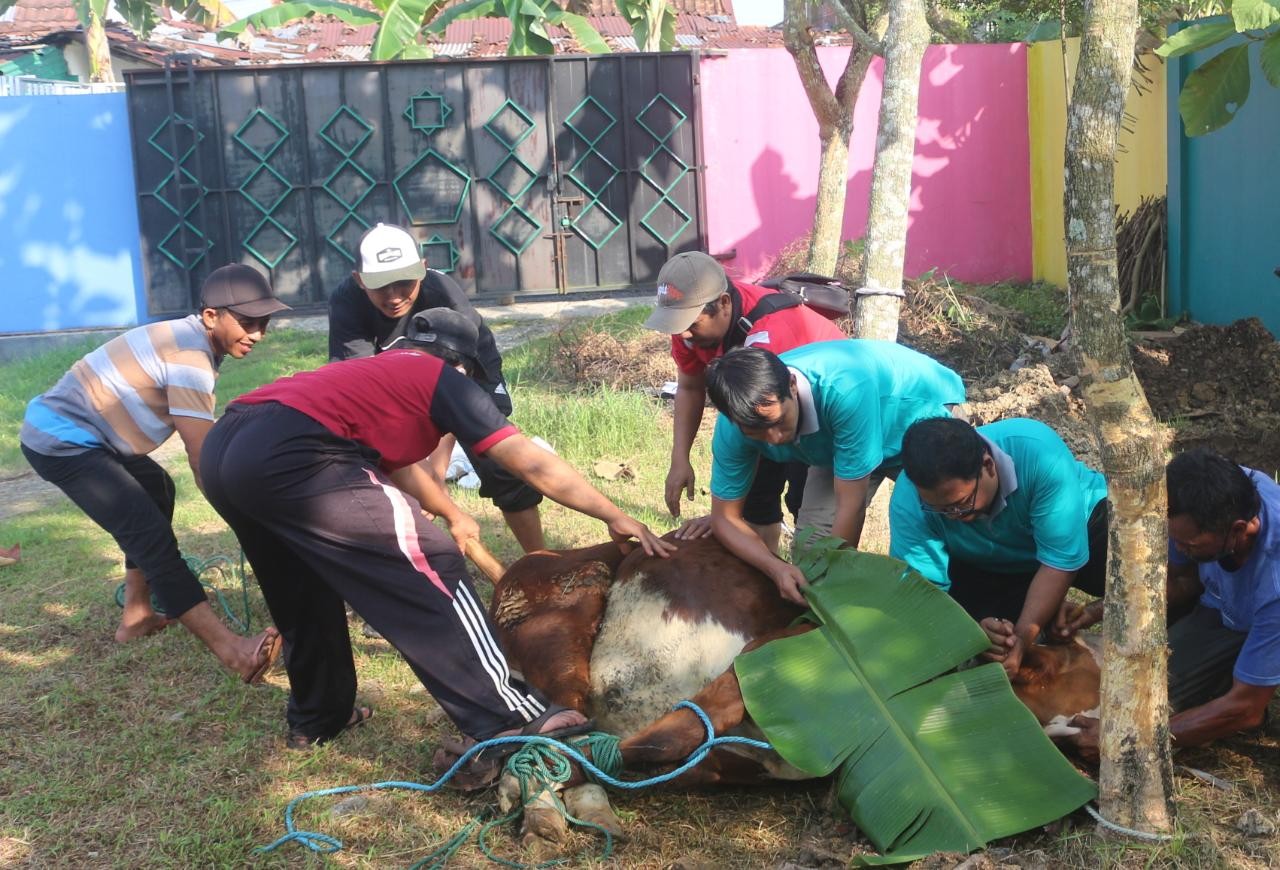 4_Latihan_Kurban_Wujudkan_Siswa_Madrasah_yang_Rahmatan_Lil_‘Aalamiin.jpeg