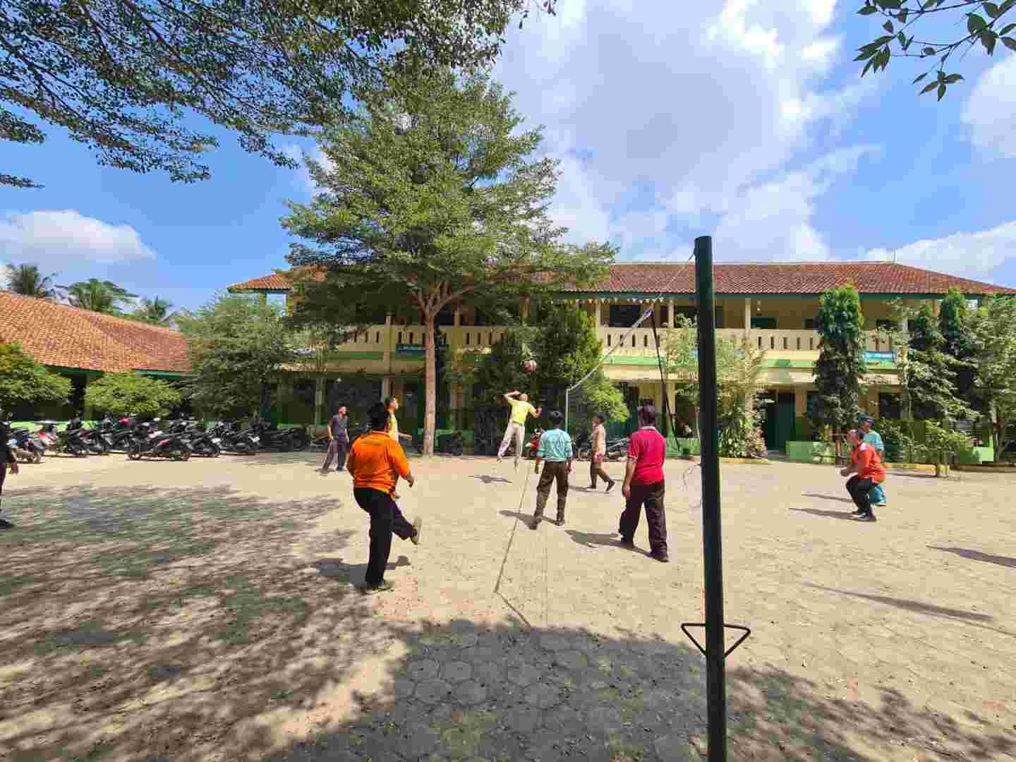 volly.jpg